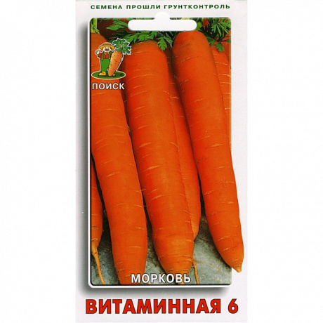 Морковь Витаминная 6 фото Морковь Витаминная 6 
