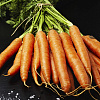 Морковь Витаминная 6 фото 2 