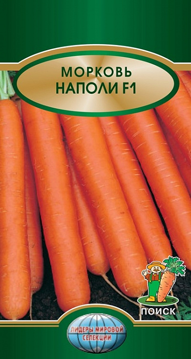 Морковь Наполи F1 фото Морковь Наполи F1 